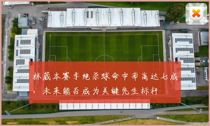 林葳本赛季绝杀球命中率高达七成，未来能否成为关键先生标杆